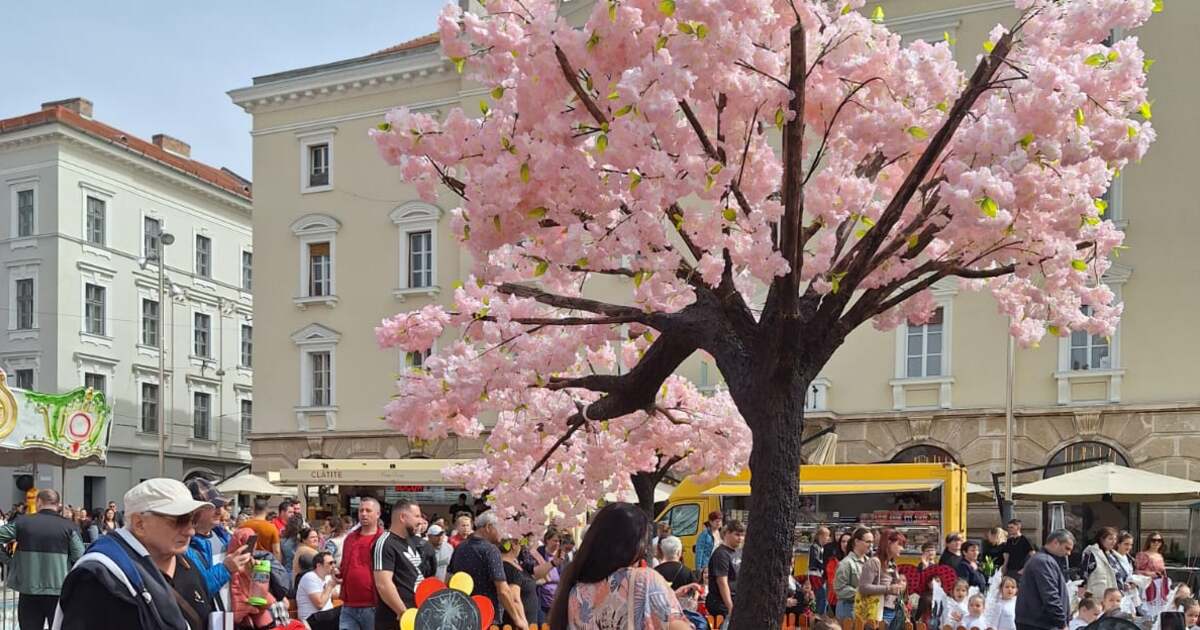 Ce planuri avem în Timișoara astăzi, pe 18 aprilie 2024?