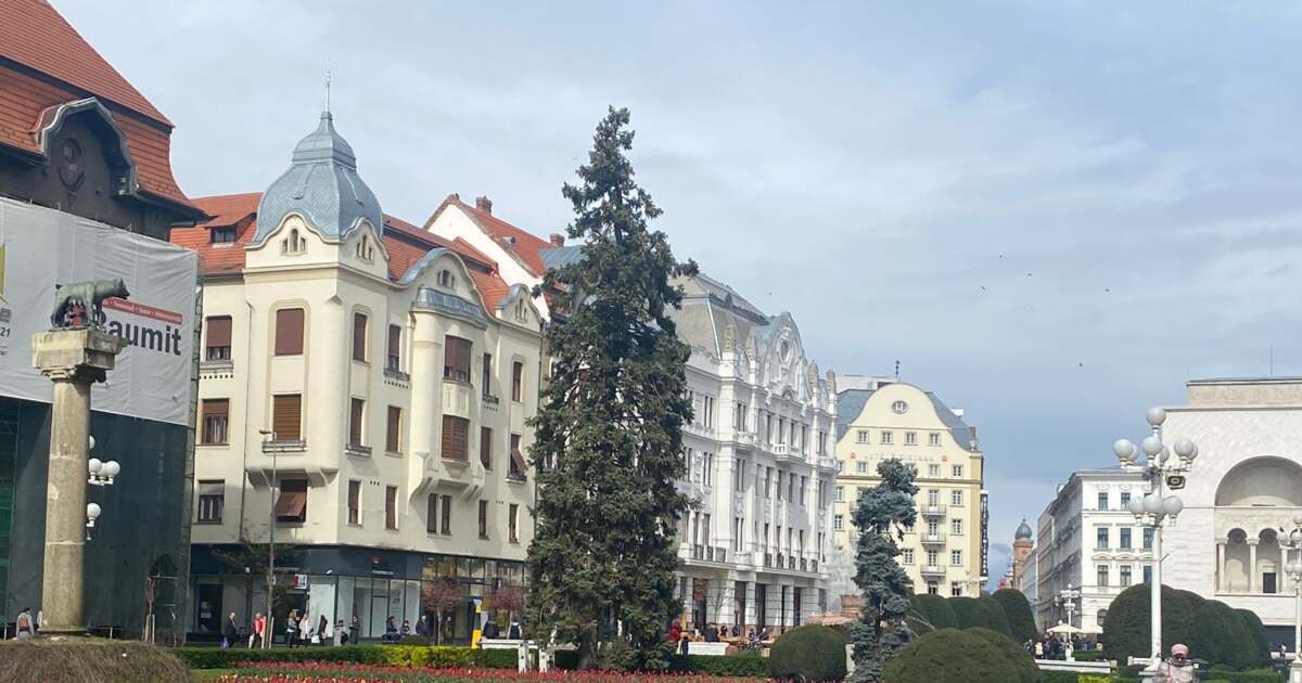 Ce evenimente ne așteaptă astăzi, 4 martie 2026, în Timișoara?