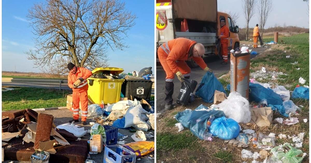 Camere de supraveghere vor fi instalate în parcările din Timiș, din cauza deșeurilor aruncate. Camere de supraveghere vor fi instalate în parcările din Timiș, din cauza deșeurilor aruncate.