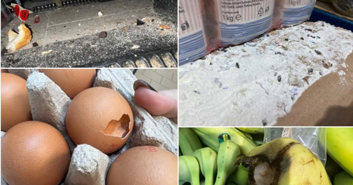 Scandal la un magazin Lidl din Timișoara: excremente, fructe stricate, ouă sparte. Magazinul închis temporar! Scandal la un magazin Lidl din Timișoara: excremente, fructe stricate, ouă sparte. Magazinul închis temporar!
