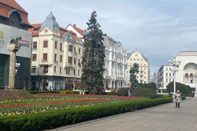 Poza pentru articolul Ce facem astăzi, 4 martie 2026, în Timișoara?