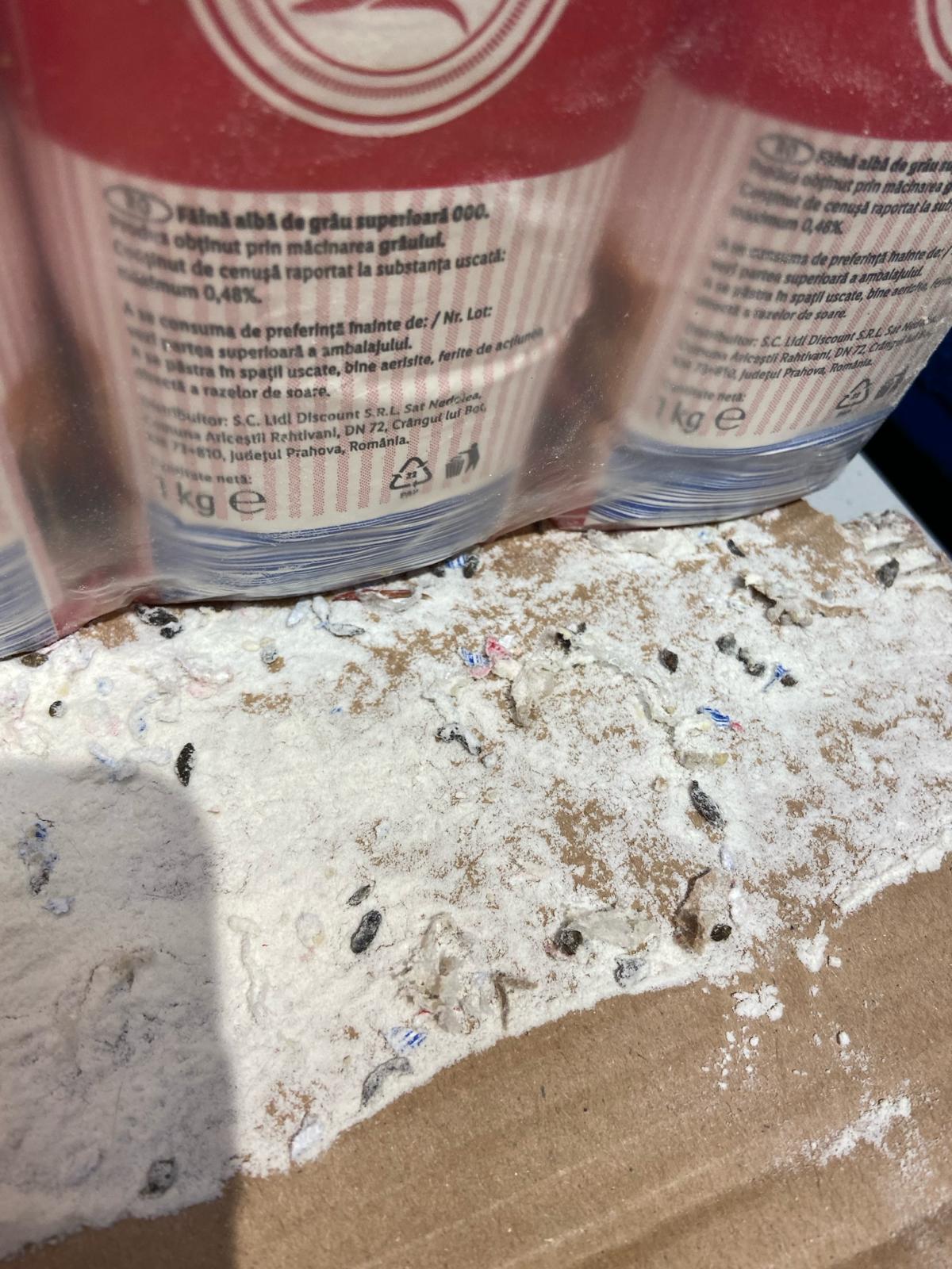 control opc lidl (10)