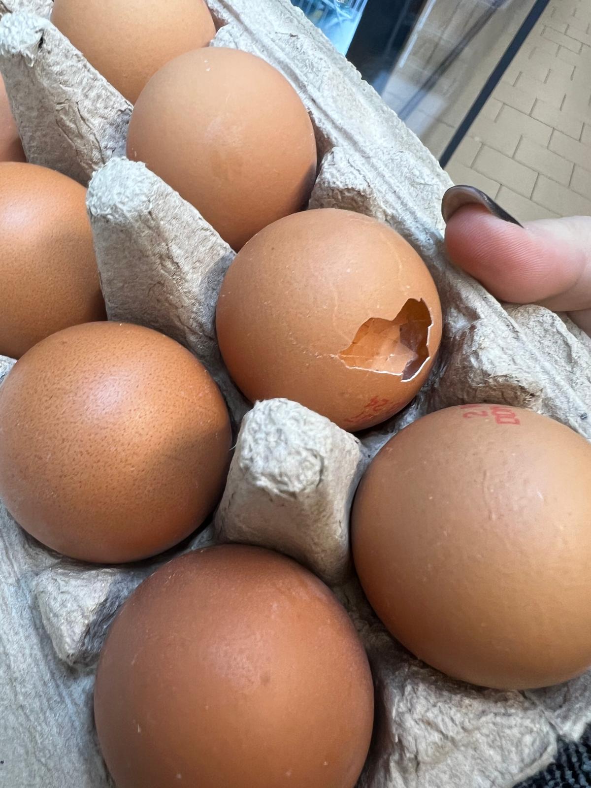 control opc lidl (27)