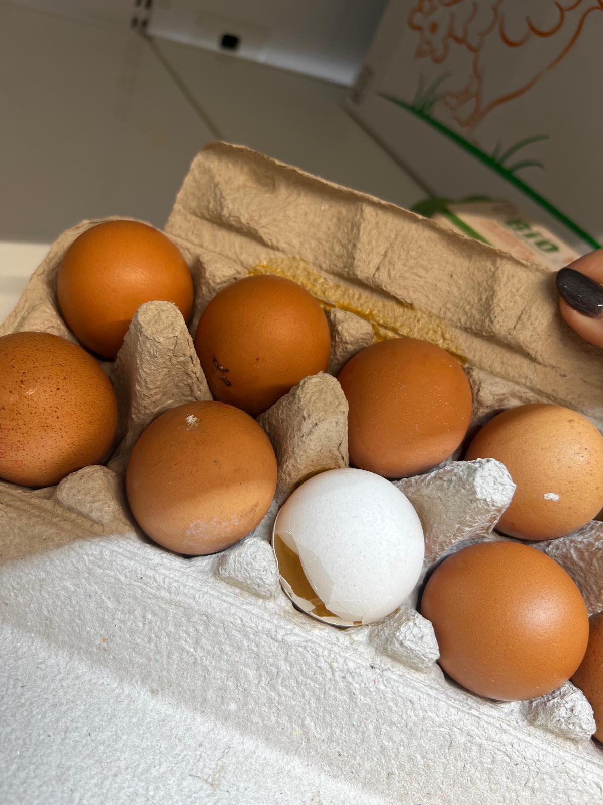 control opc lidl (29)