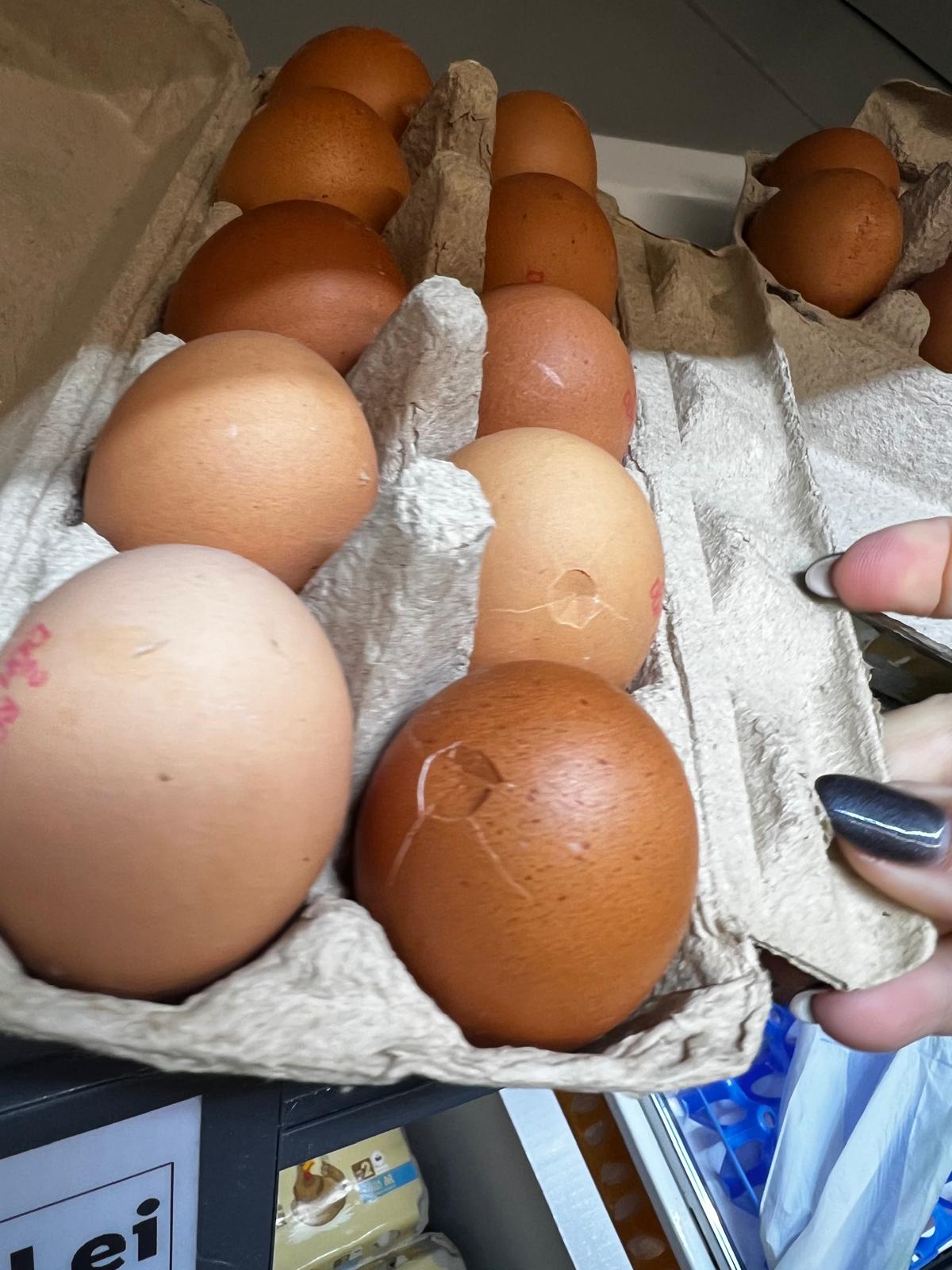 control opc lidl (30)