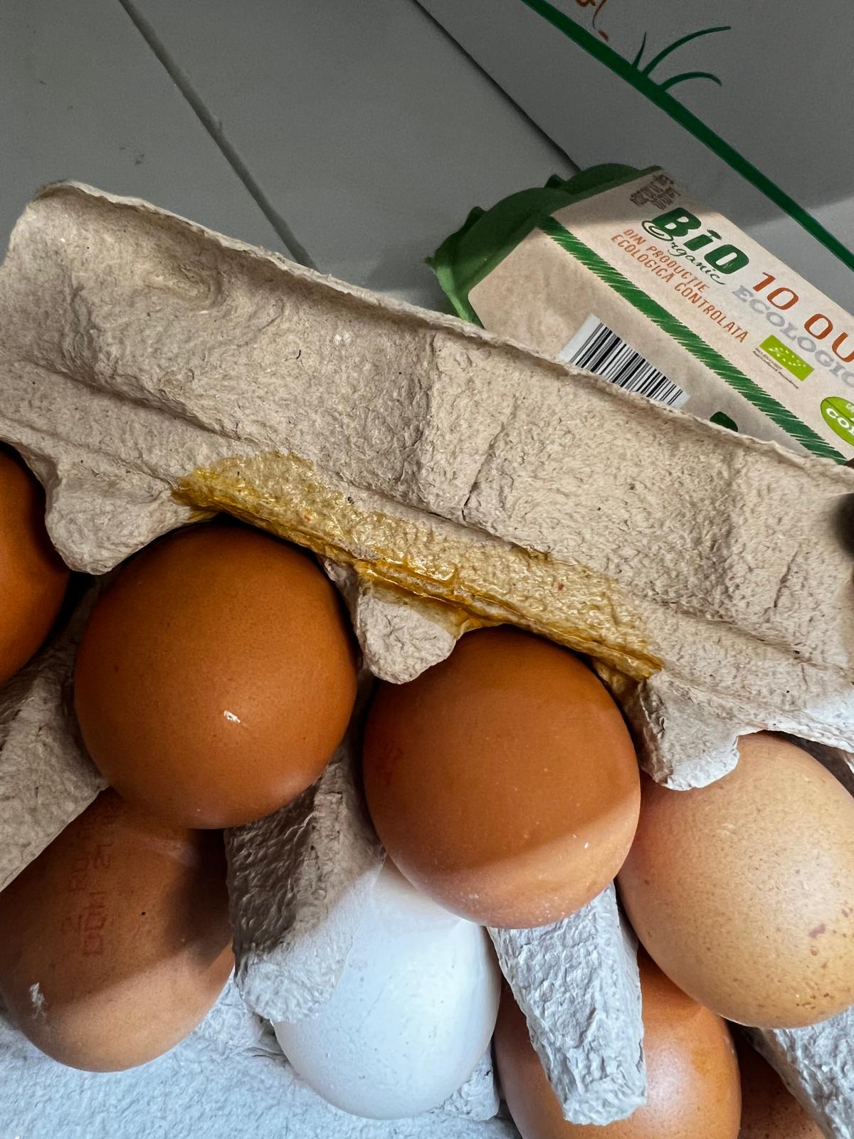 control opc lidl (31)