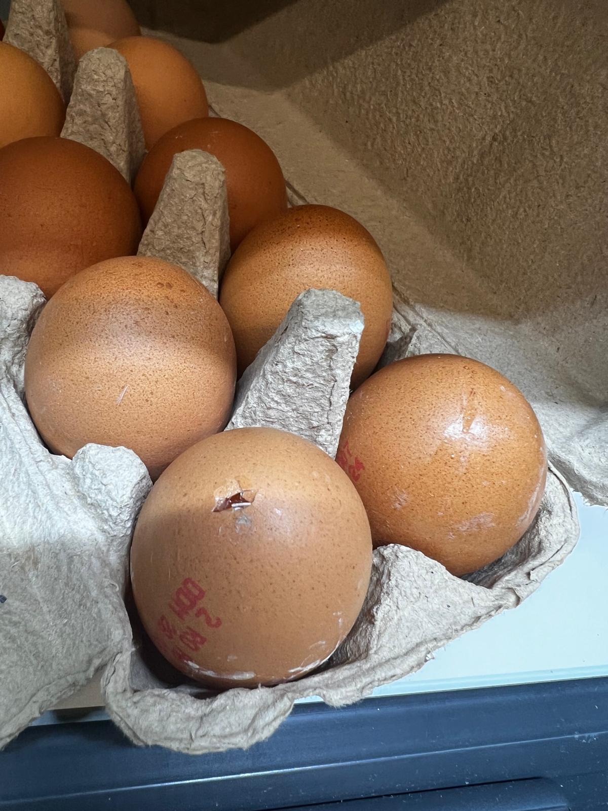 control opc lidl (32)