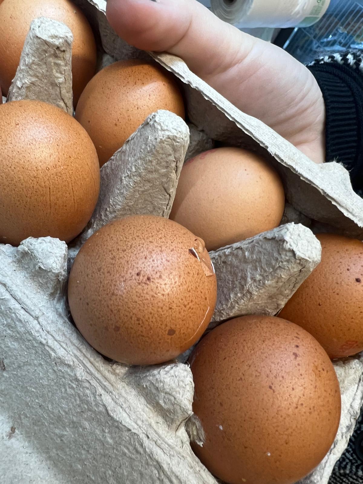 control opc lidl (33)