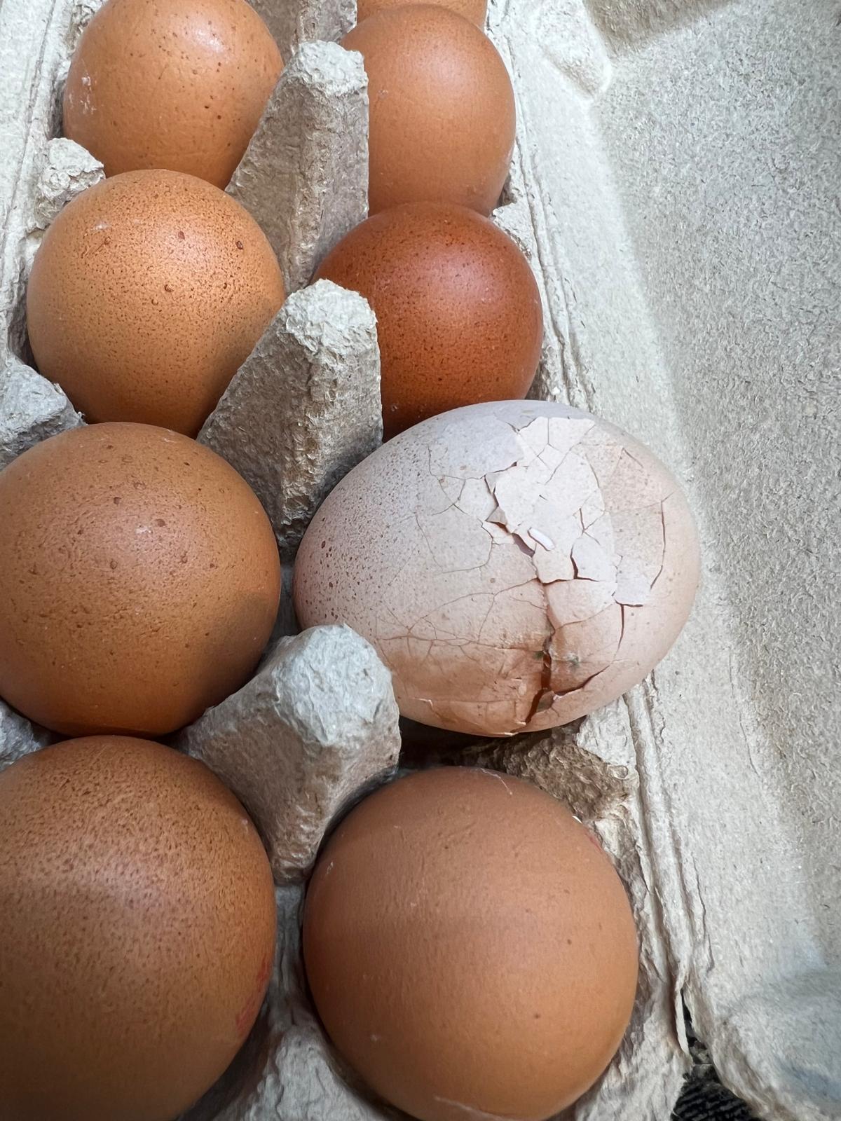 control opc lidl (34)