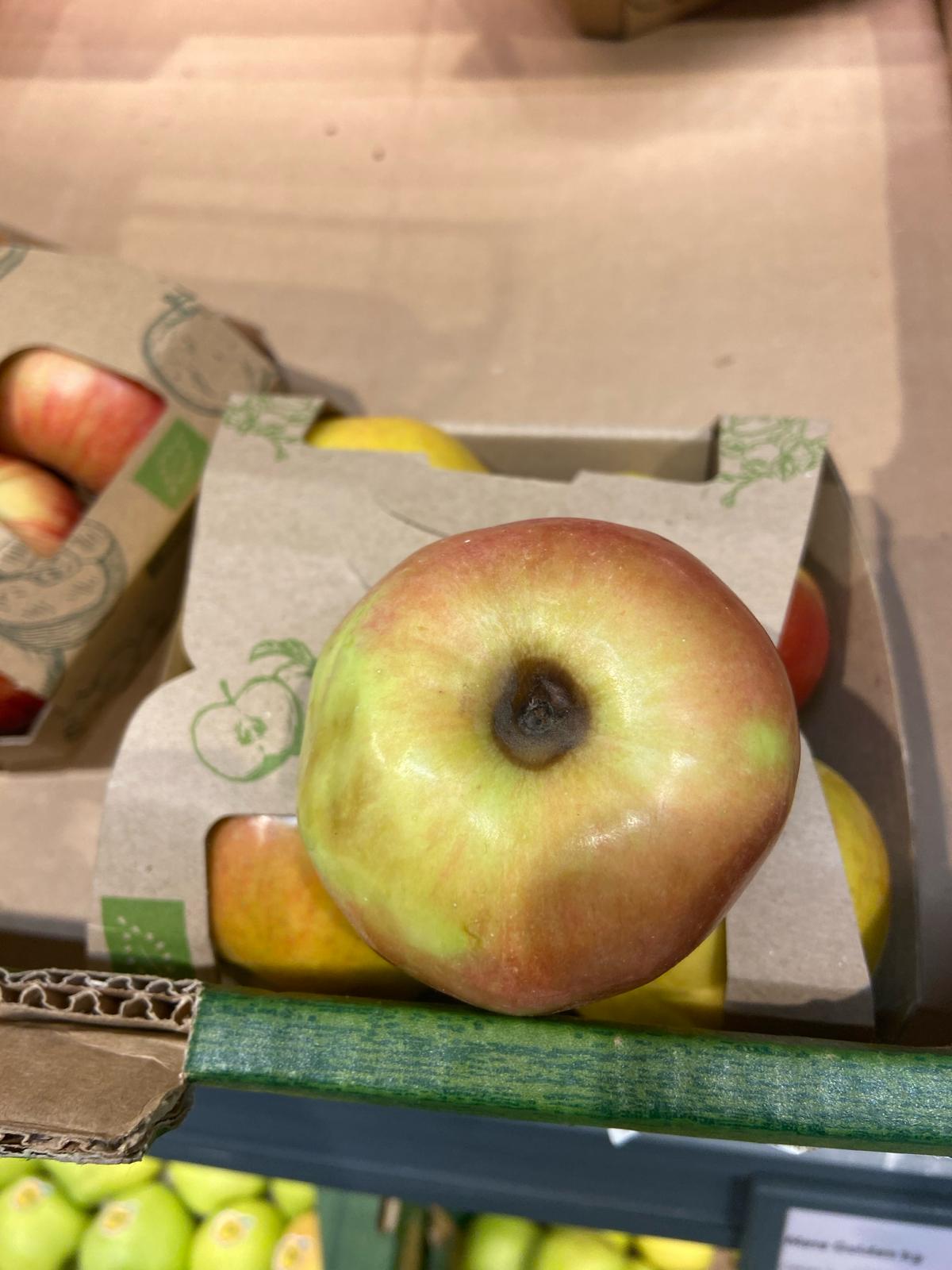 control opc lidl (56)