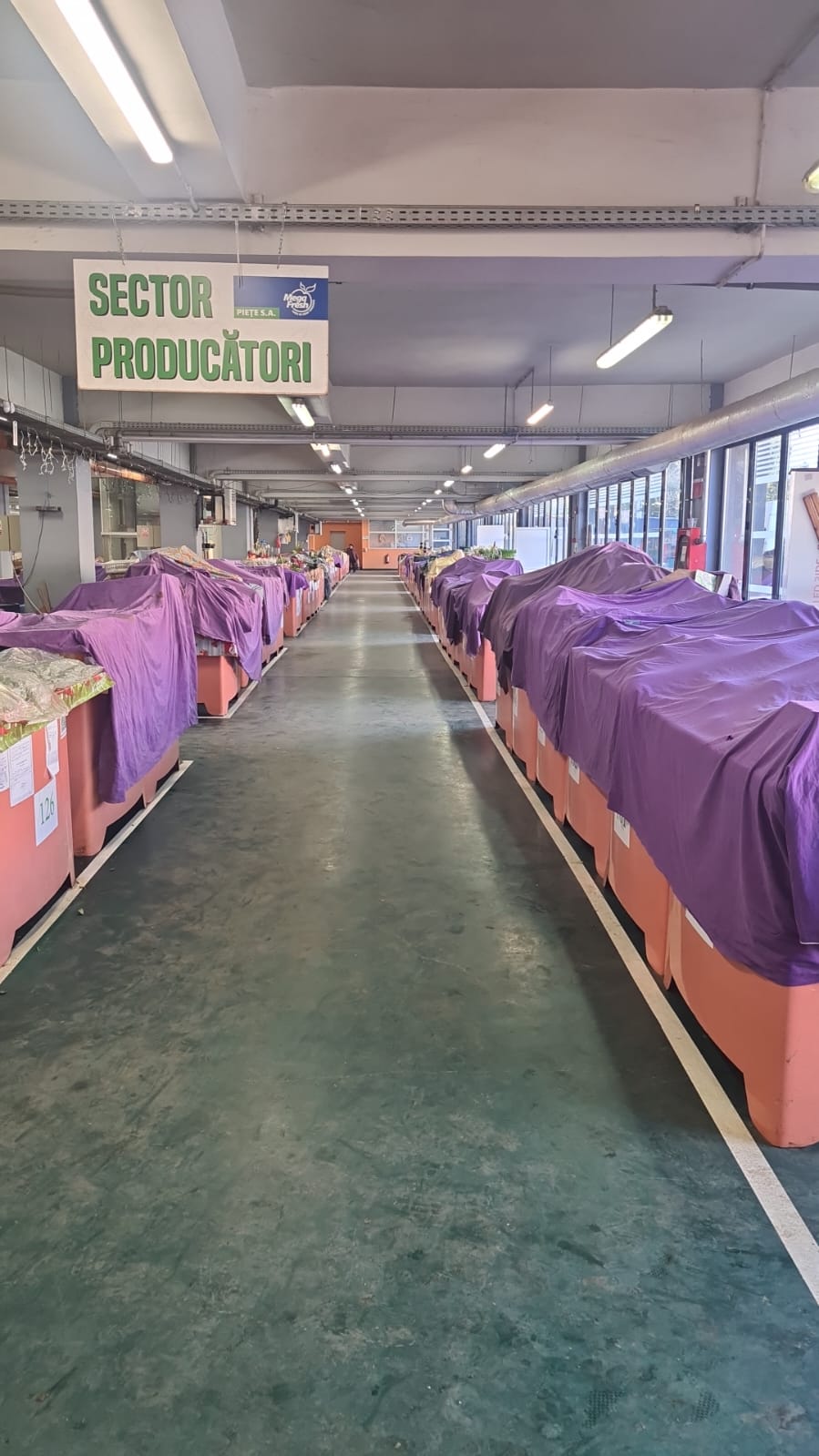 WhatsApp Image 2024-03-12 at 10.44.36