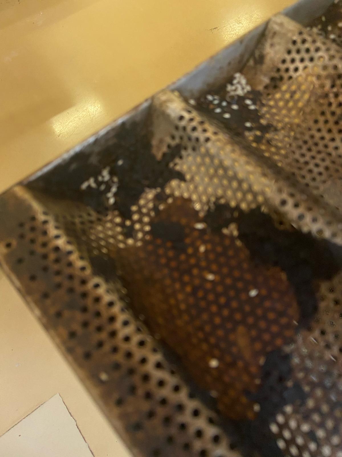 mizerie control opc fabrica diva timisoara (12)