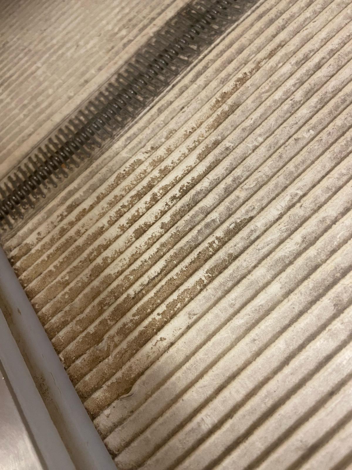 mizerie control opc fabrica diva timisoara (24)