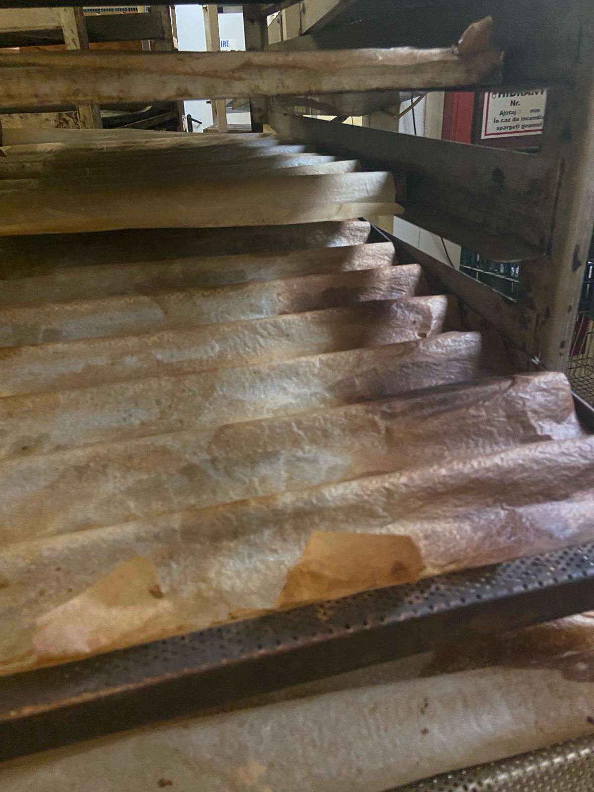 mizerie control opc fabrica diva timisoara (31)