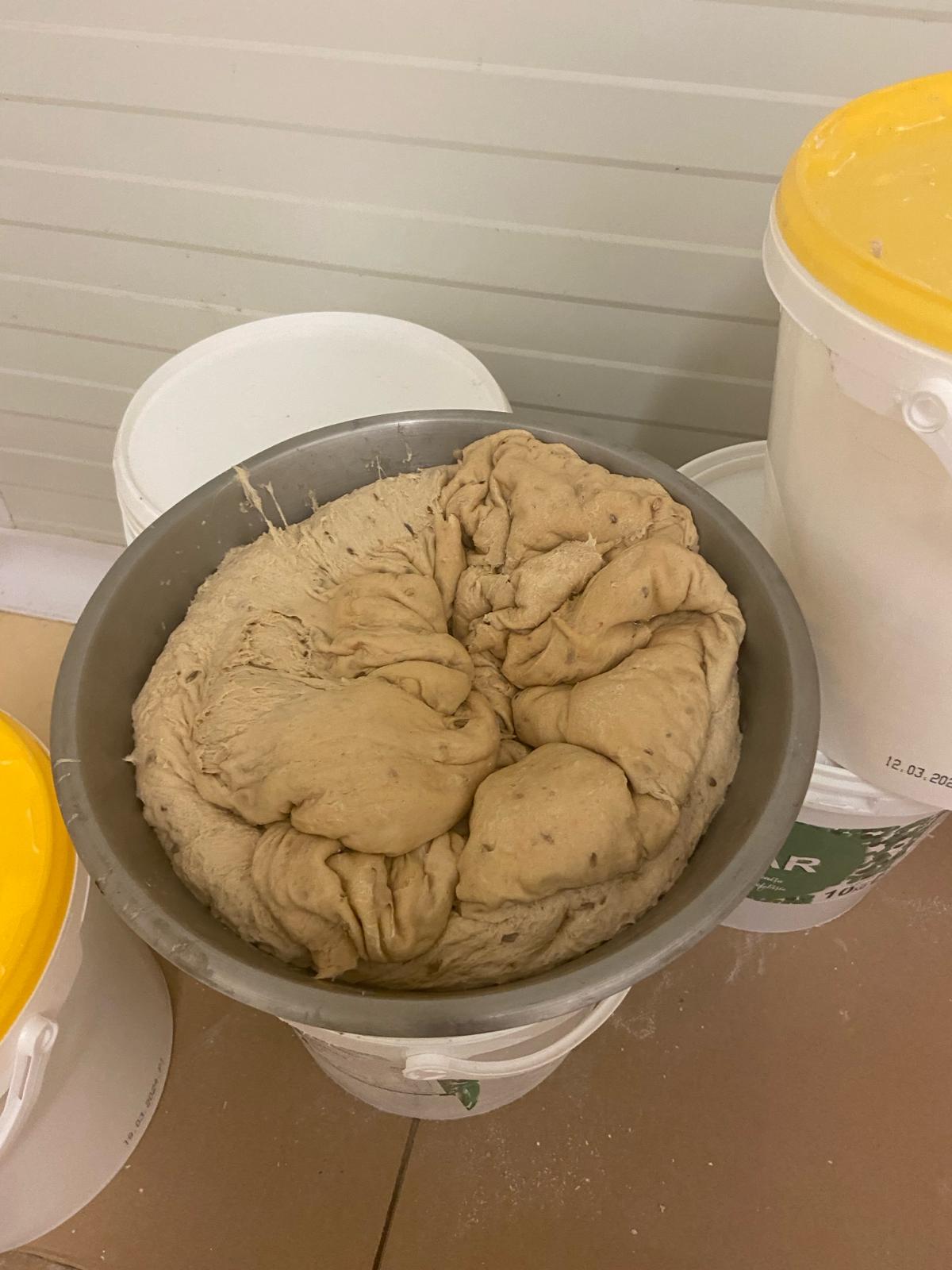 mizerie control opc fabrica diva timisoara (48)