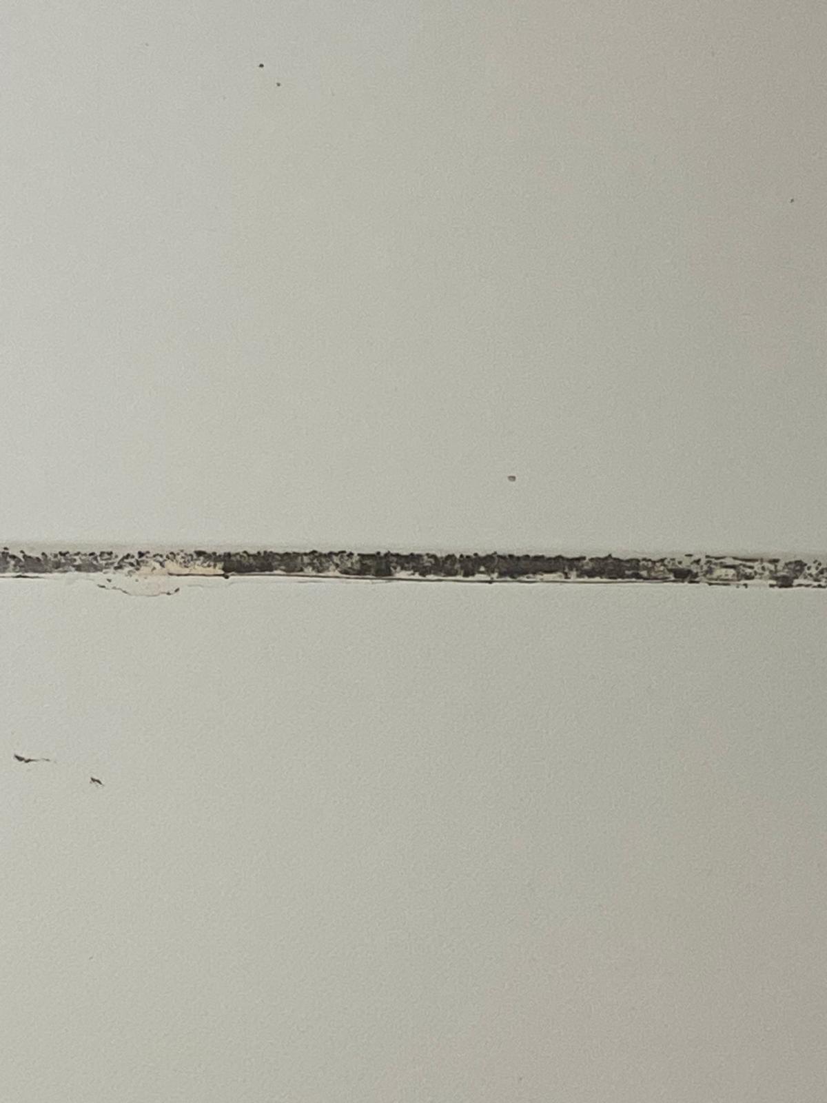 mizerie control opc fabrica diva timisoara (54)