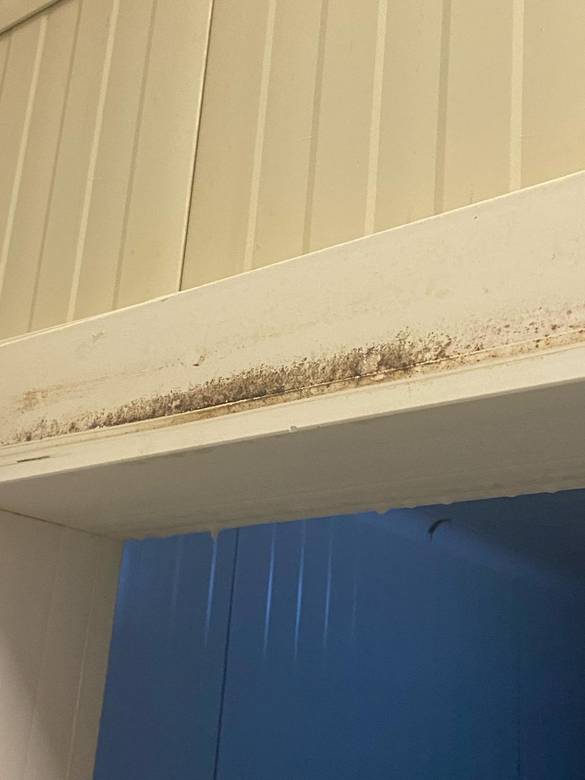 mizerie control opc fabrica diva timisoara (57)