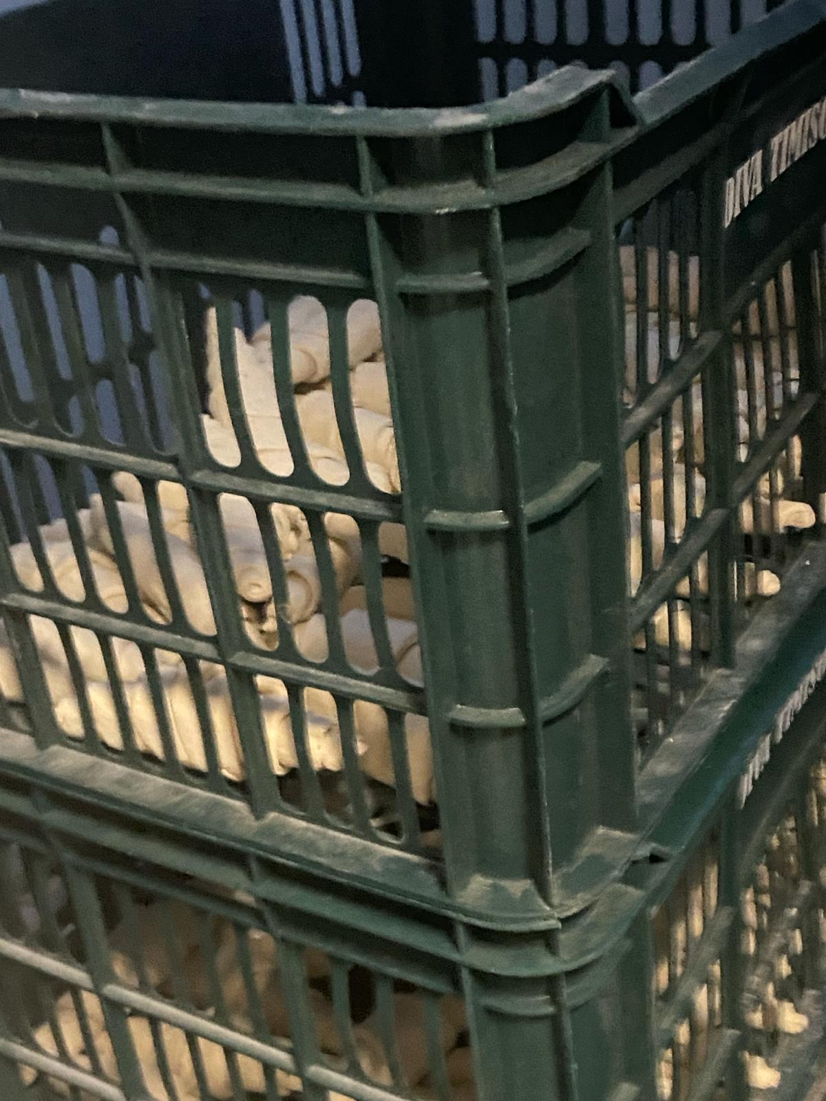 mizerie control opc fabrica diva timisoara (62)