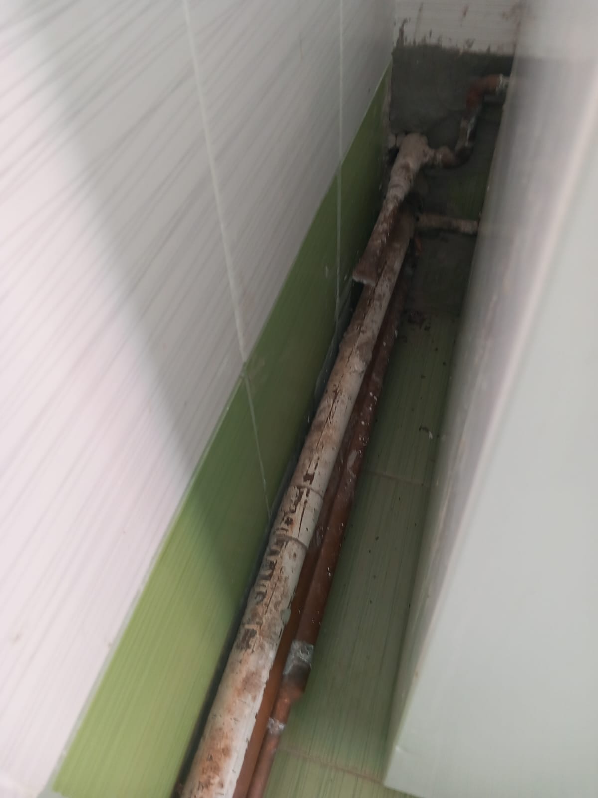 WhatsApp Image 2024-03-18 at 16.01.49