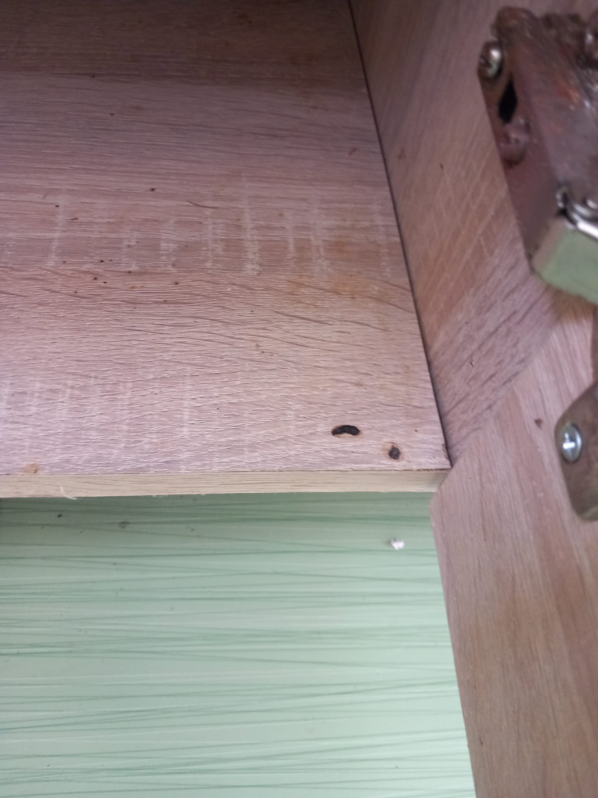 WhatsApp Image 2024-03-18 at 16.01.48