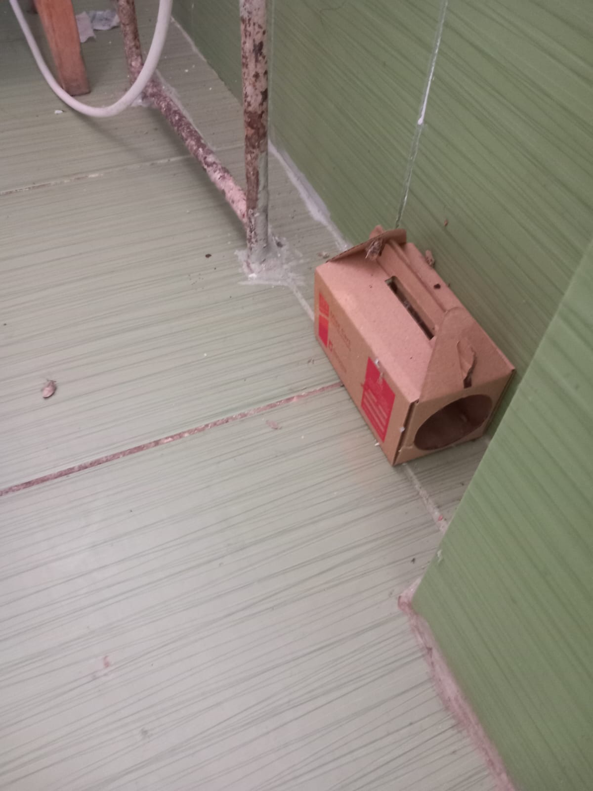 WhatsApp Image 2024-03-18 at 16.01.47