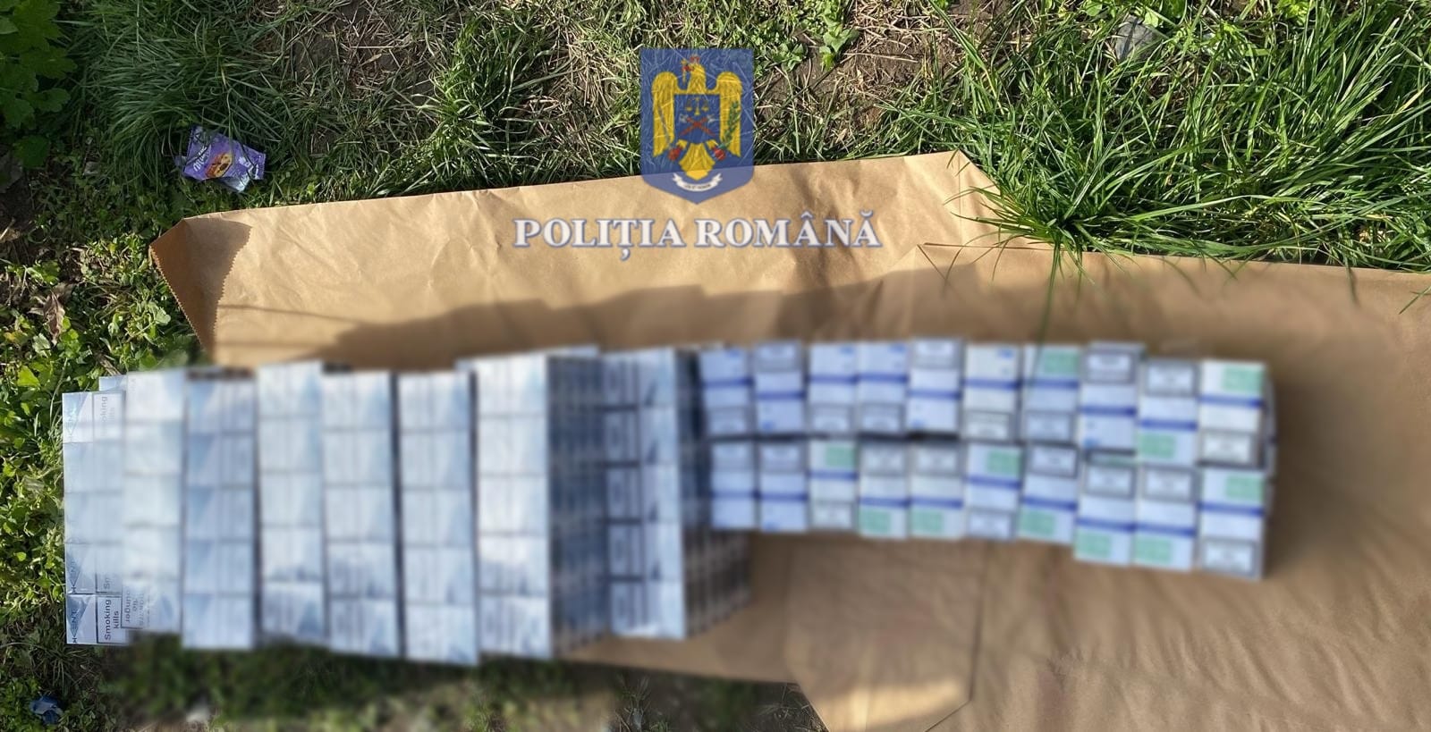 WhatsApp Image 2024-03-21 at 17.45.25 (1)