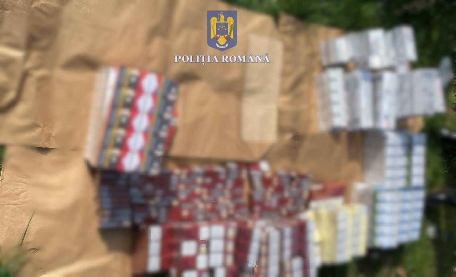 WhatsApp Image 2024-03-21 at 17.45.25