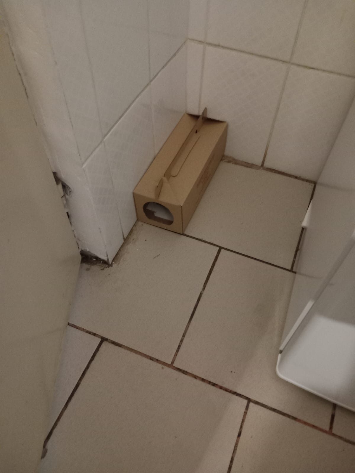 control opc cantina henri coanda (1)