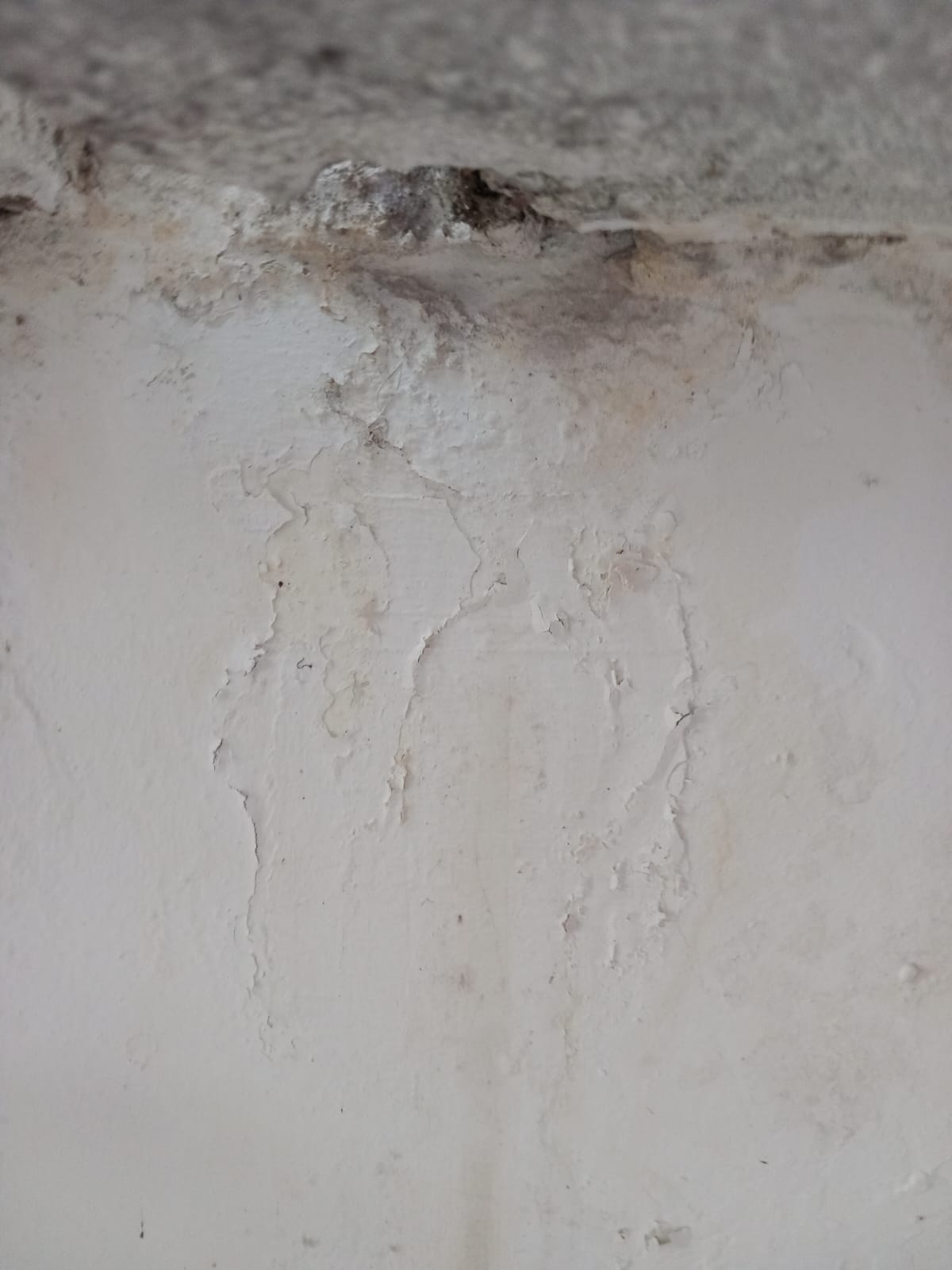 control opc cantina henri (2)