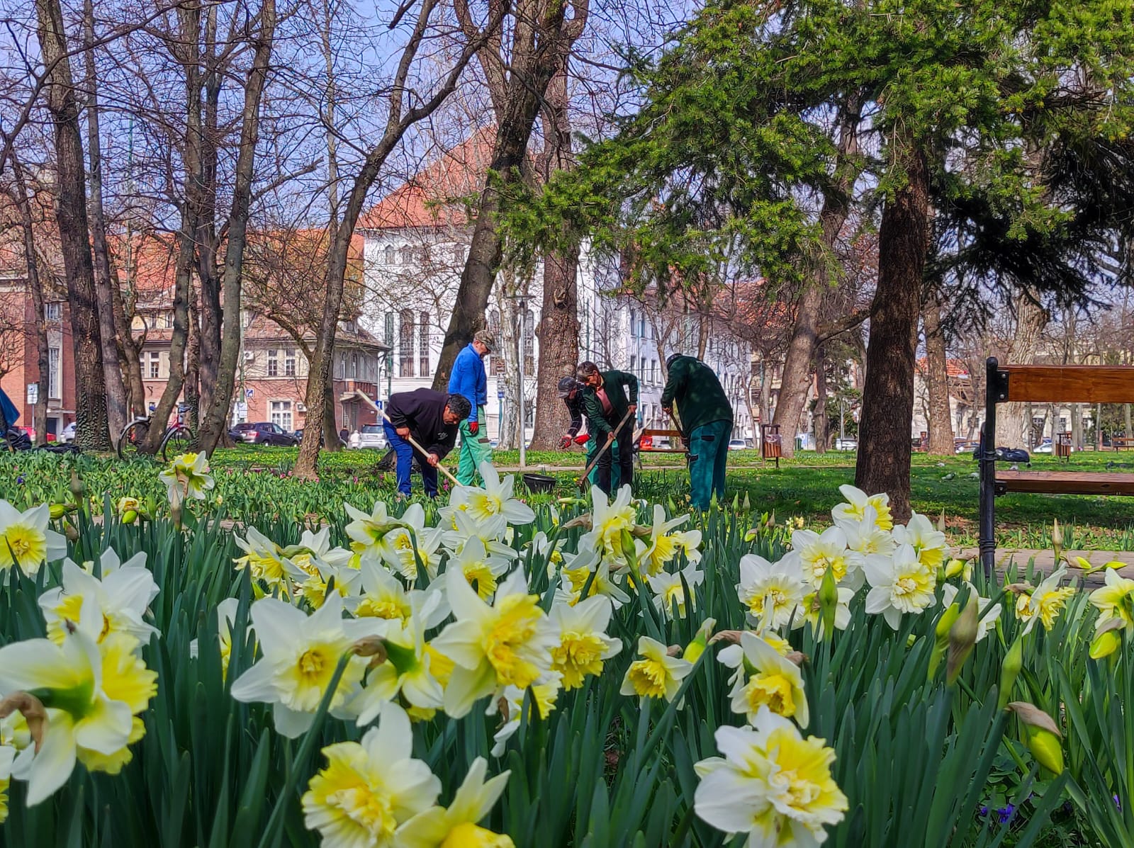 Parcul Justiției lucrări Horticultura