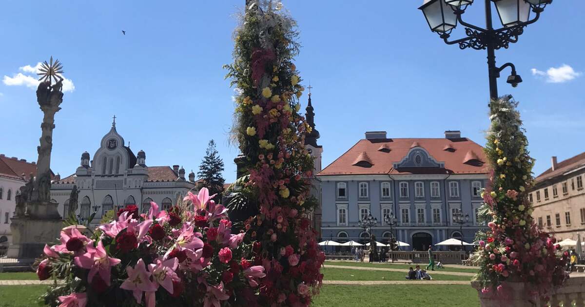 Activități în Timișoara pe data de 4 mai 2024. Activități în Timișoara pe data de 4 mai 2024.
