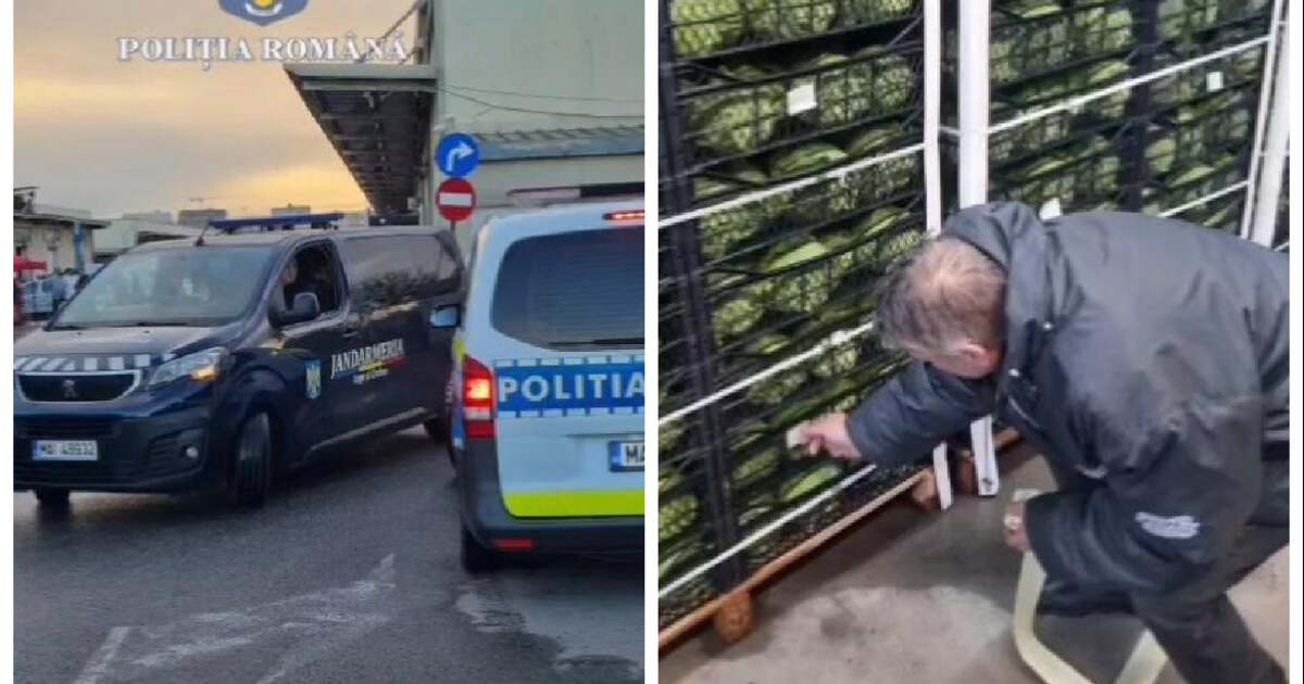 Autoritățile din Timișoara au descoperit nereguli la Piața de Gros.