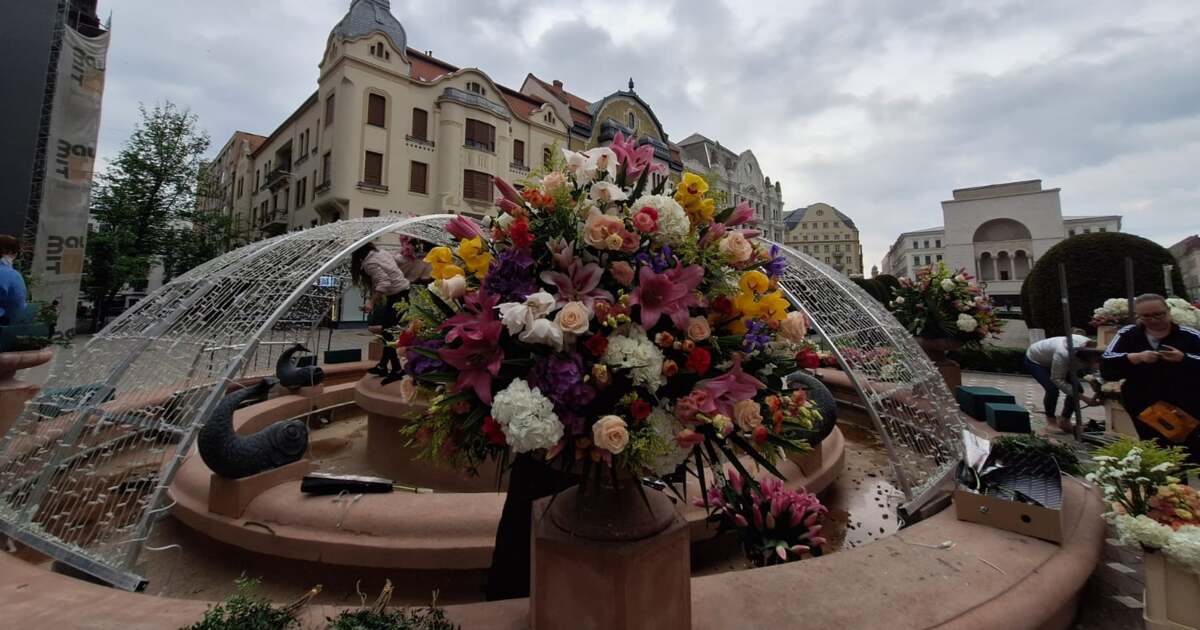 Ce activități sunt programate astăzi, 28 aprilie 2024, în Timișoara? Ce activități sunt programate astăzi, 28 aprilie 2024, în Timișoara?