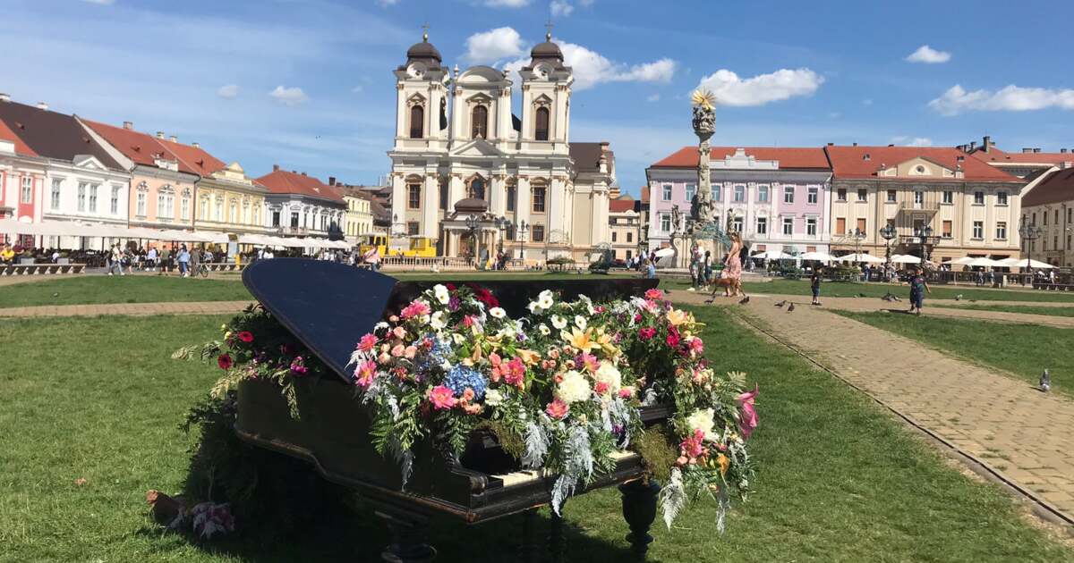 Activități din Timișoara astăzi, 3 mai 2024 - program cultural. Activități din Timișoara astăzi, 3 mai 2024 - program cultural.