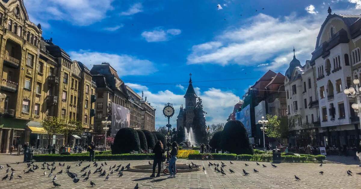 Activități pentru ziua de 30 aprilie 2024 în Timișoara