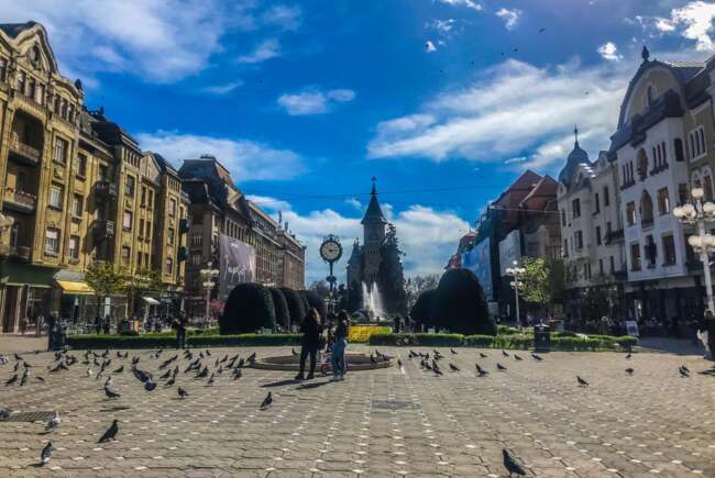 Poza pentru articolul Ce facem astăzi, 12 mai 2026, în Timișoara?