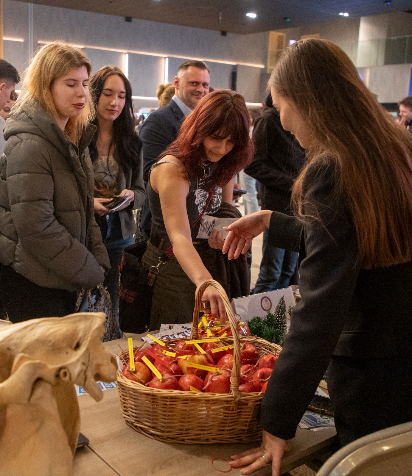 Timișoara – ATU pentru educația ta (4)