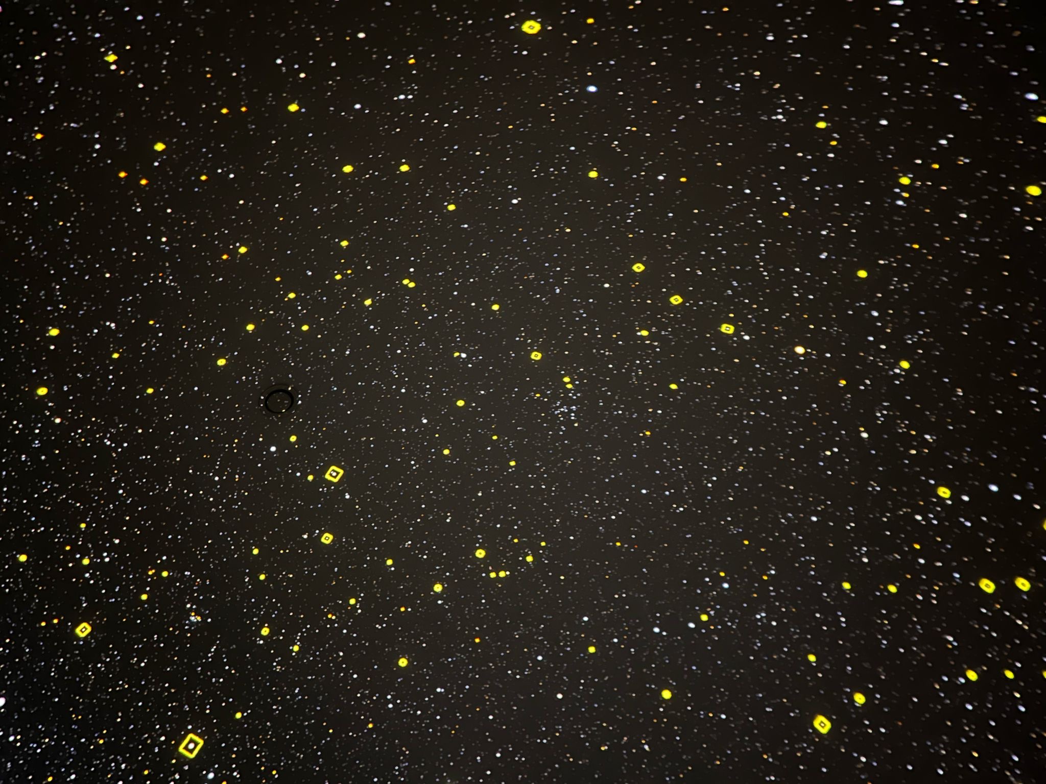 0671c526-8eb2-4921-b1fb-4c97aad81f83