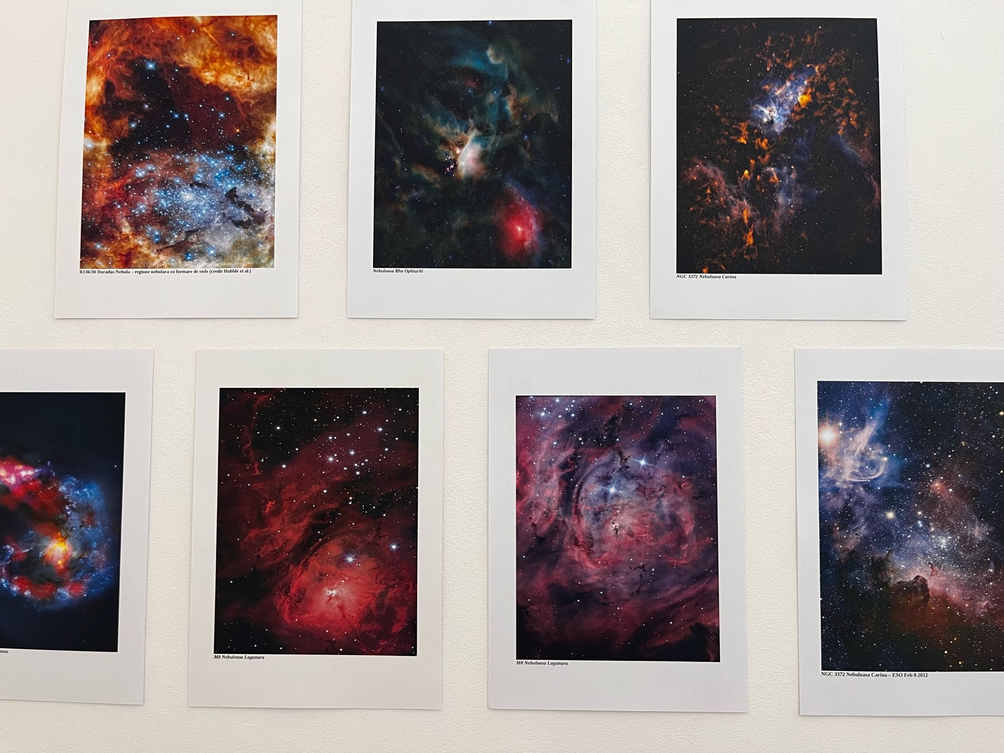 442f4eb3-2882-4aa0-9ae2-a106ec02e4e5