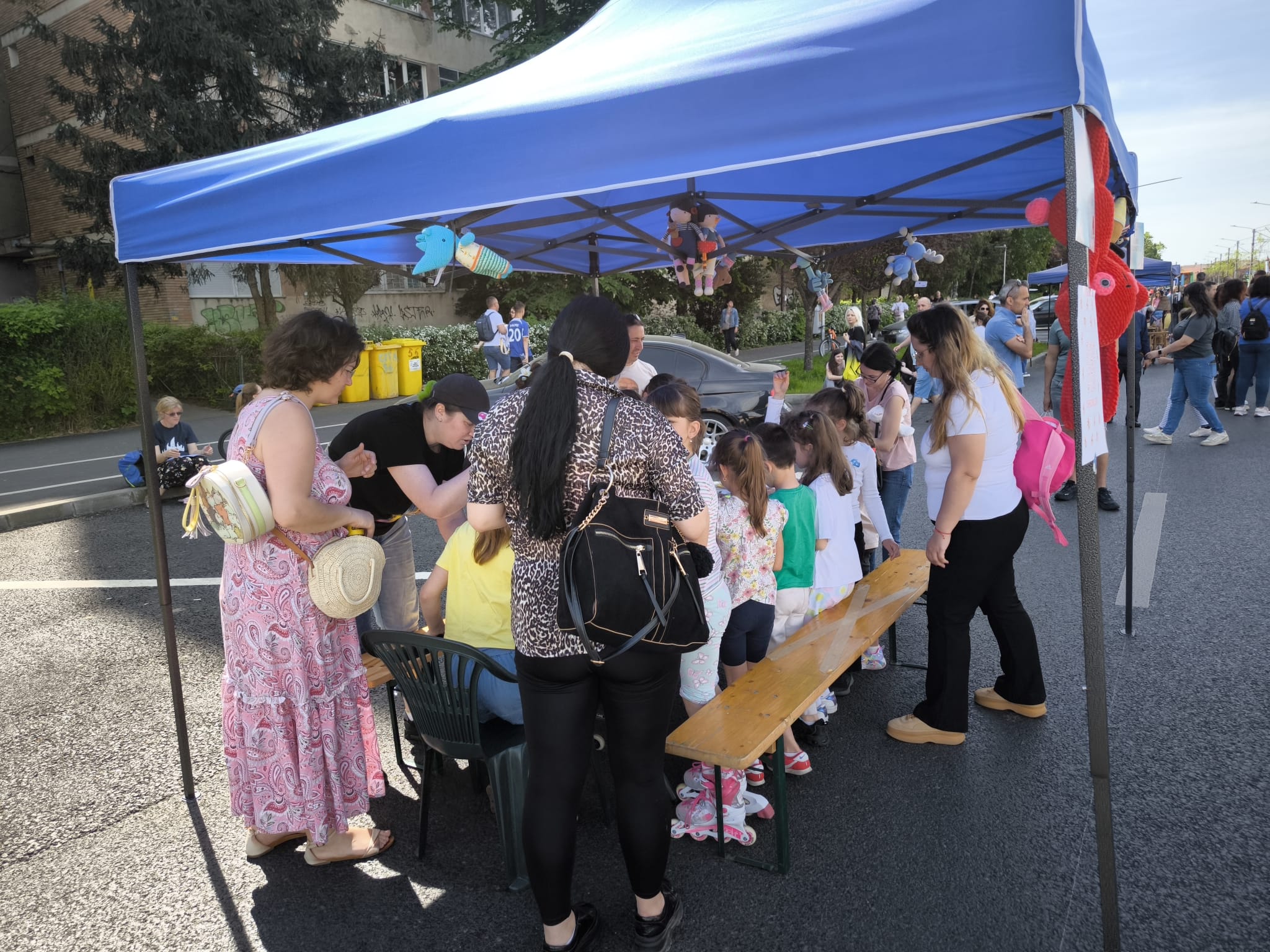 strazi pentru comunitate bulvardul cetatii activitati (15)