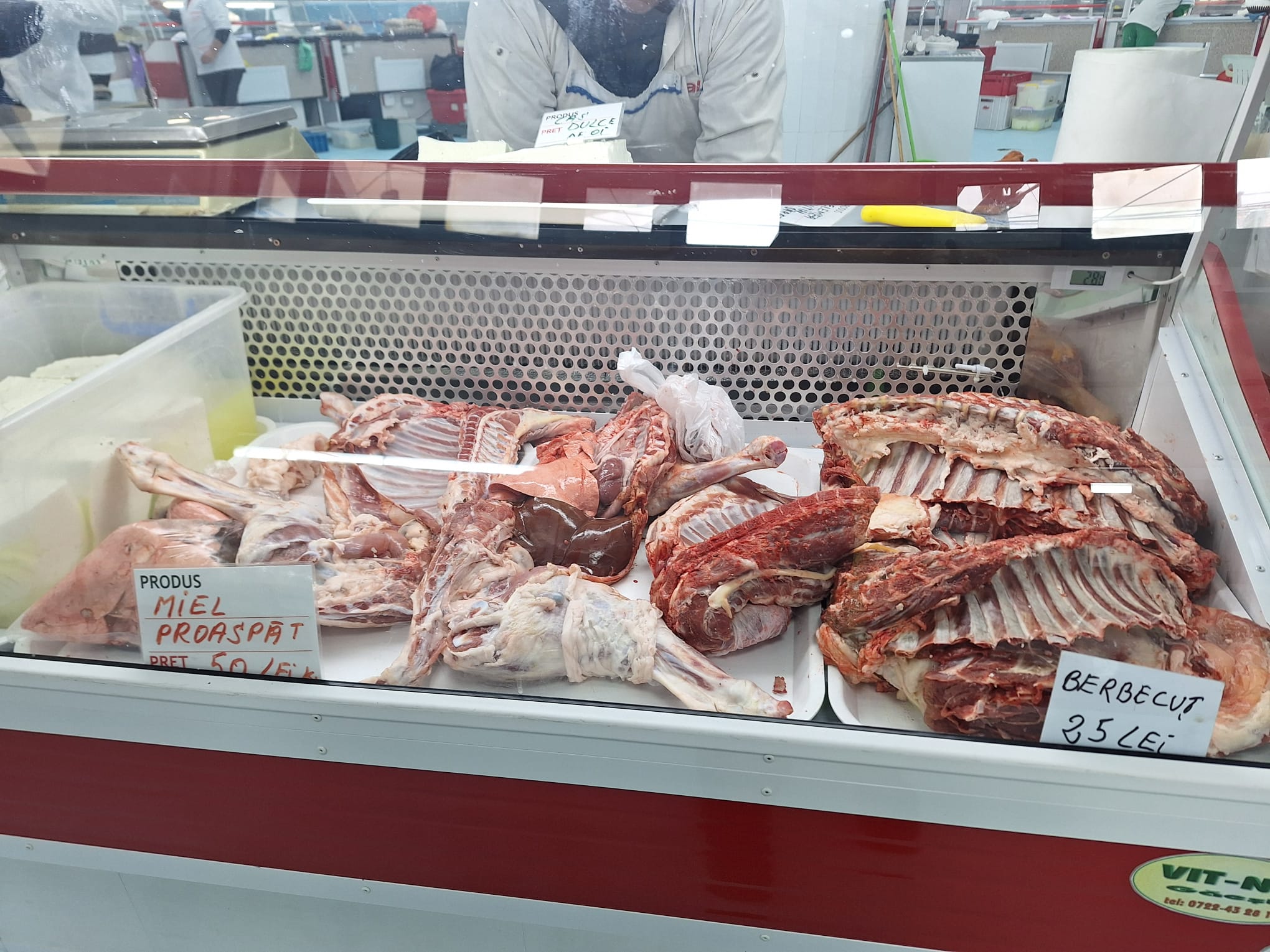 miei piata badea cartan (9)