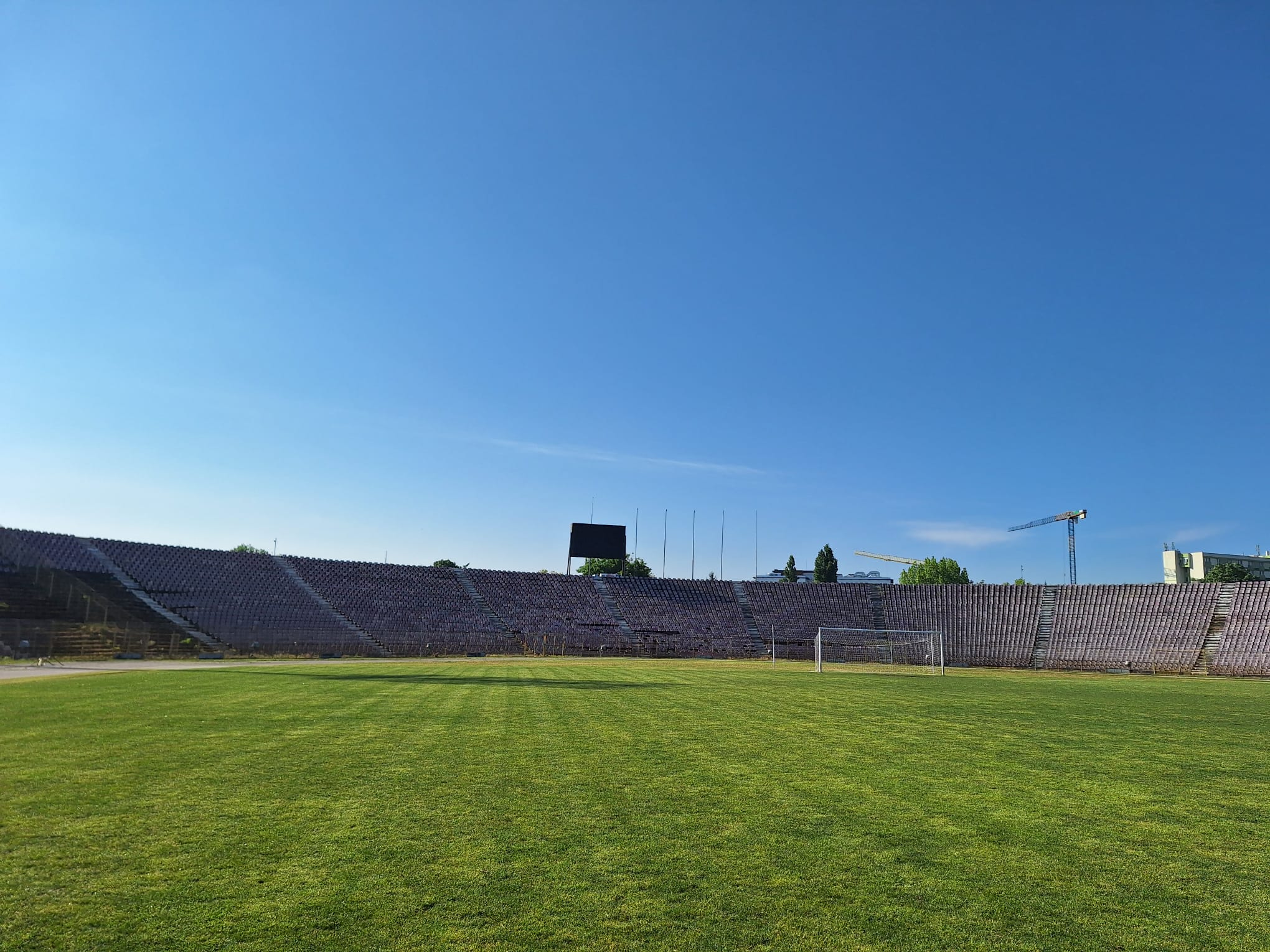 stadion san paltinisanu timisoara alin nica (1)