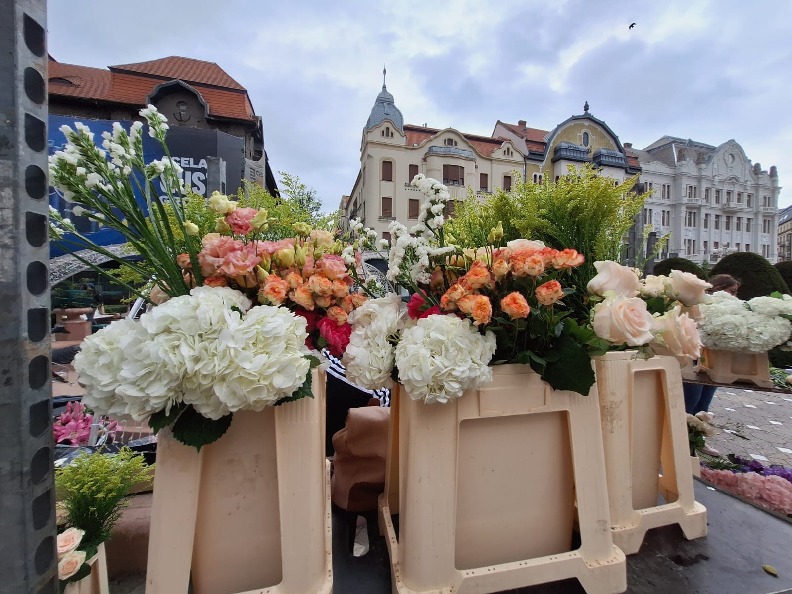 fantana cu pesti centru timisoara