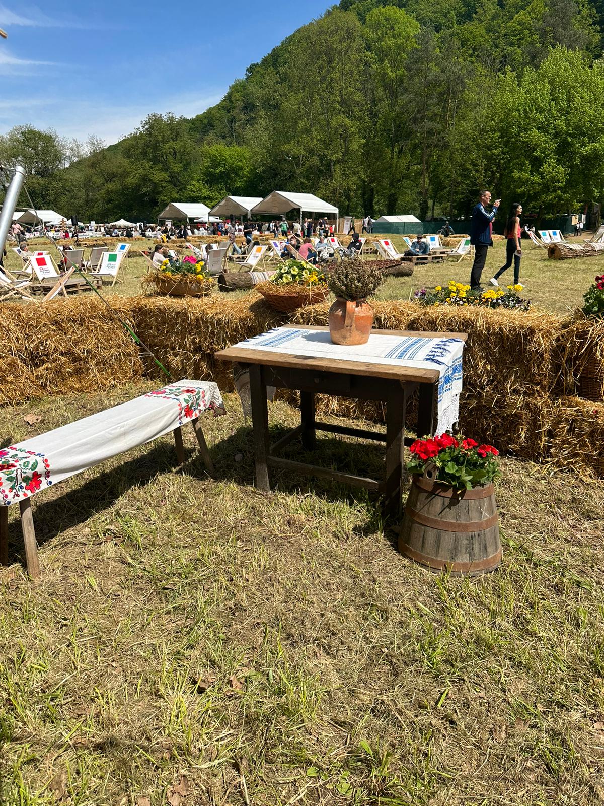 Suflet de România (6)