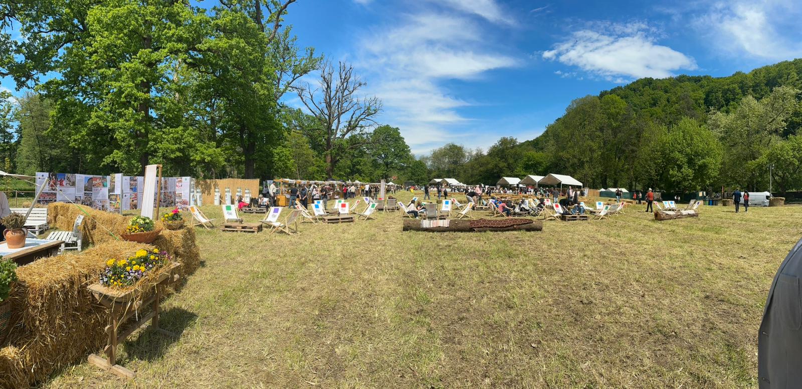 Suflet de România (8)