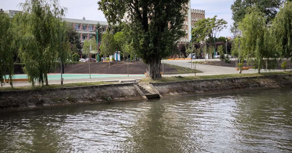 Evenimente și activități în Timișoara în data de 16 mai 2024. Evenimente și activități în Timișoara în data de 16 mai 2024.