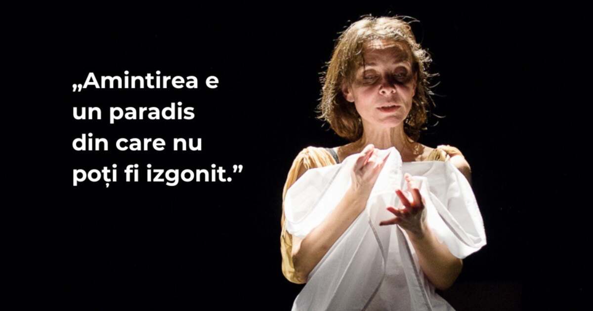 Activitati din Timisoara astazi, 21 mai 2024, pentru distractie.