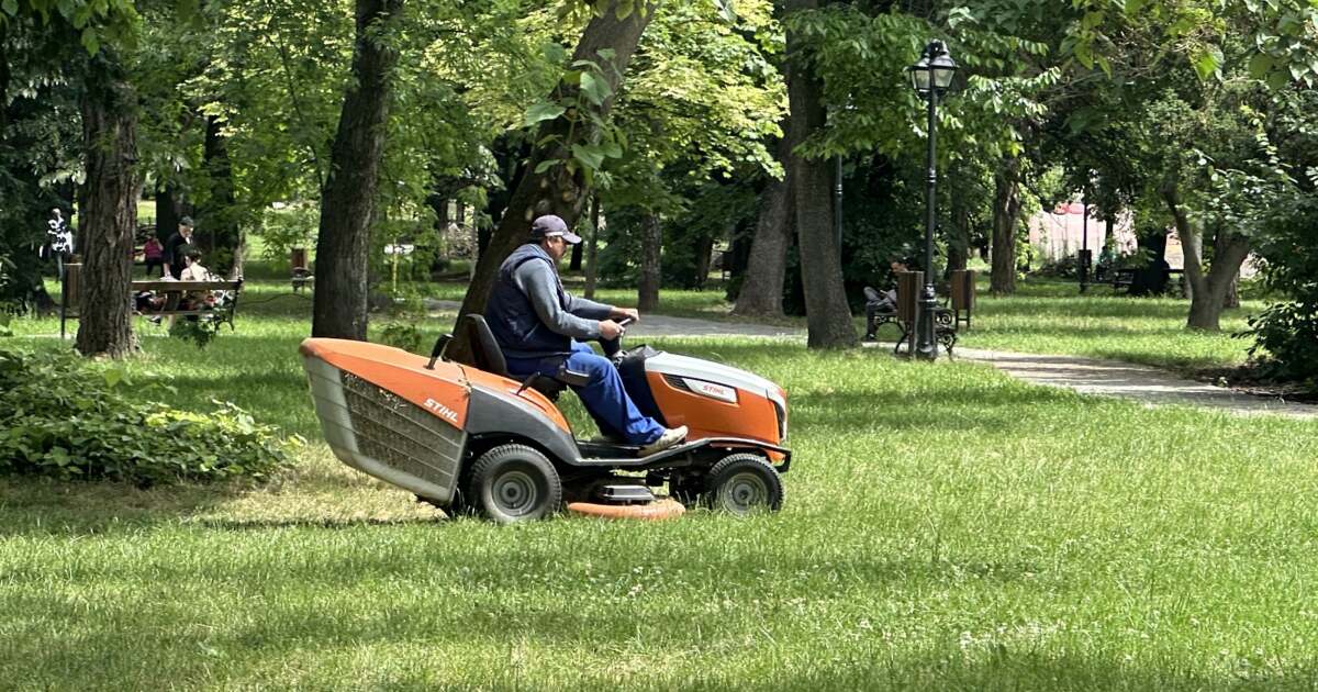 Trei firme, din Turcia și Cluj, concurează pentru întreținerea spațiilor verzi.