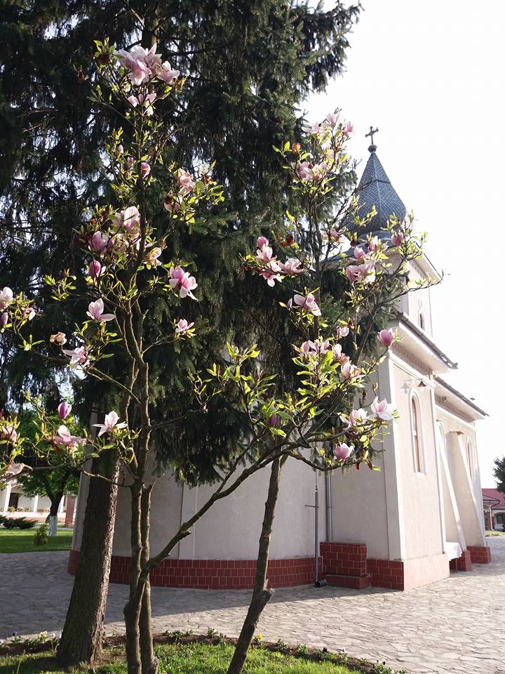 Manastirea Timiseni Sag (2)