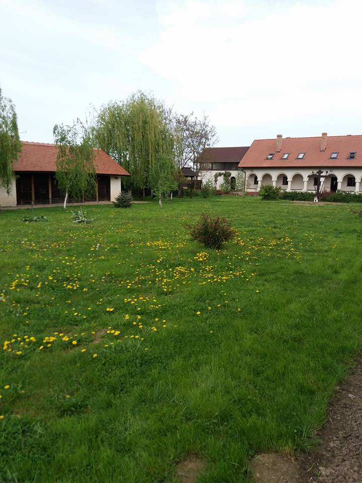 Manastirea Timiseni Sag (4)